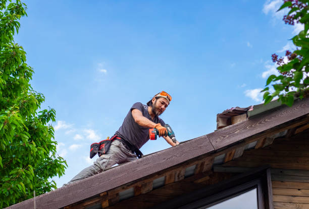 Best Roof Moss and Algae Removal  in Kilauea, HI